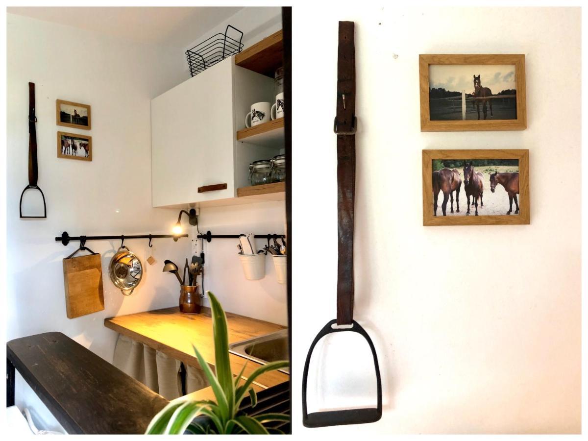 Dąbrówno Apartamenty Lajkonik מראה חיצוני תמונה
