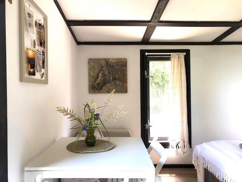 Dąbrówno Apartamenty Lajkonik מראה חיצוני תמונה