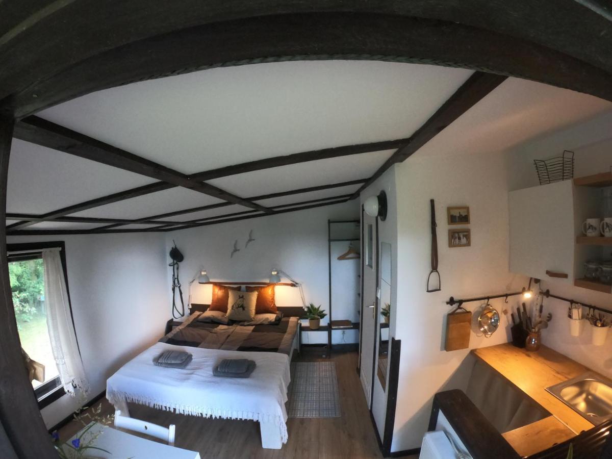 Dąbrówno Apartamenty Lajkonik מראה חיצוני תמונה